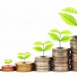 P.11 argent qui pousse_xl