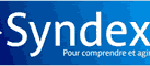 Logo-Syndex