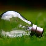 Canva – Light Bulb on the Grass