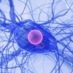 Photo-perturbateurs-endocriniens