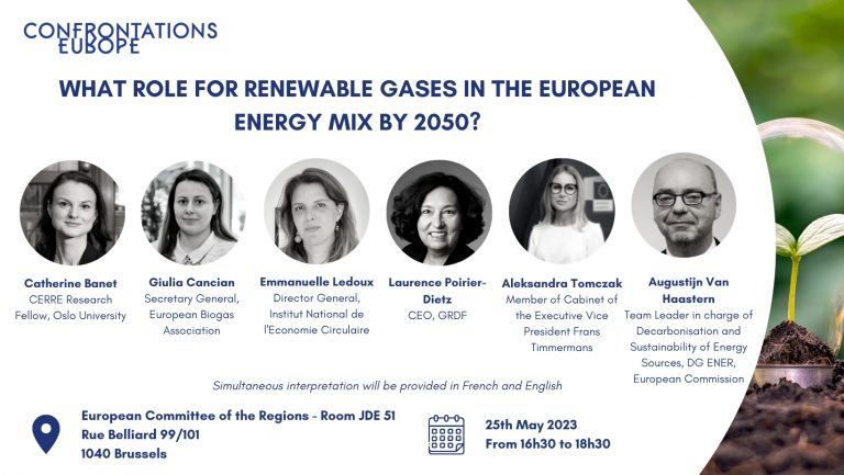 What role for renewable gases in the European energy mix by 2050?