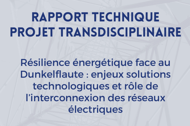 RAPPORT TECHNIQUE PROJET TRANSDISCIPLINAIRE